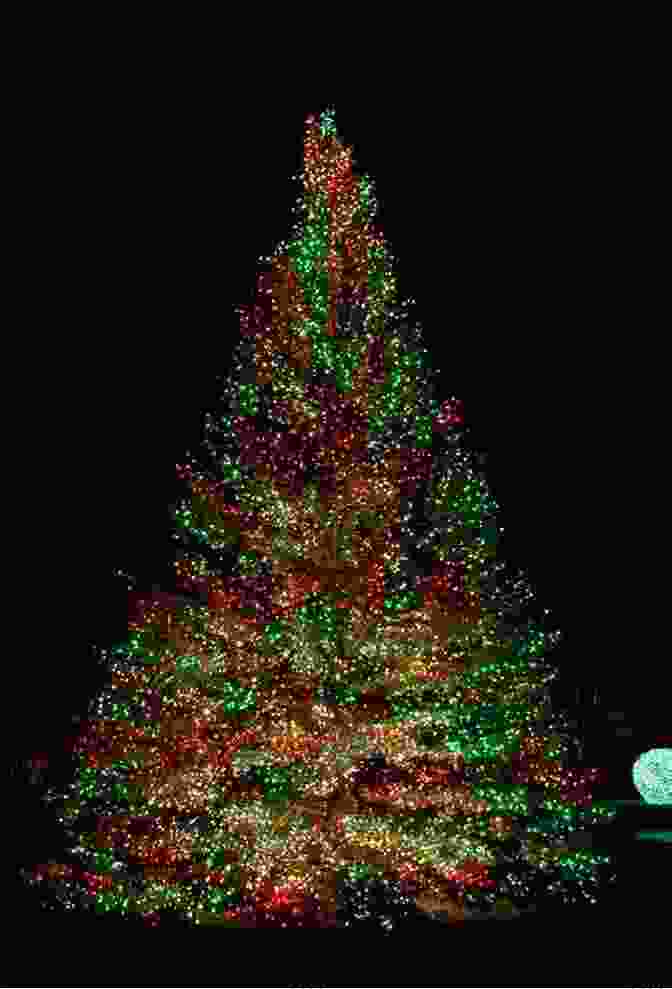 A Beautifully Decorated Christmas Tree With Twinkling Lights The Christmas Kindness Game Daphne Benedis Grab