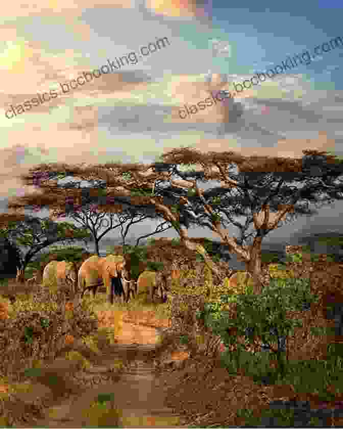 A Breathtaking Landscape Of The African Savanna, Capturing The Vastness And Beauty Of The Continent's Natural Heritage. African Friends And Money Matters Second Edition: Observations From Africa (Publications In Ethnography 43)
