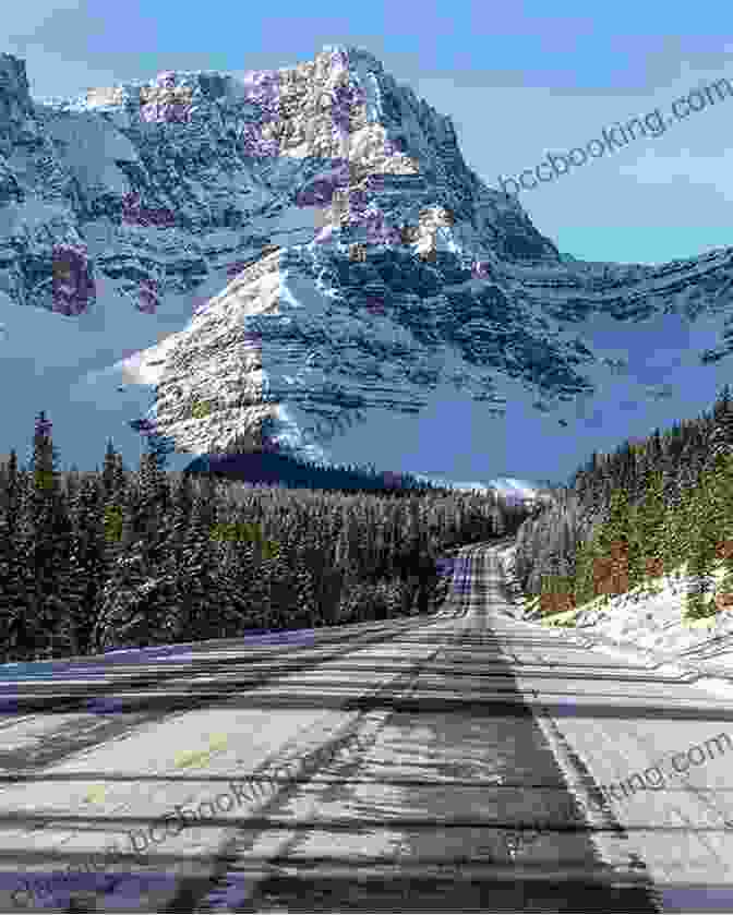 A Breathtaking Photograph Of The Icefields Parkway, Showcasing Its Winding Roads, Stunning Mountain Views, And Abundant Wildlife. C Is For Chinook: An Alberta Alphabet (Discover Canada Province By Province)