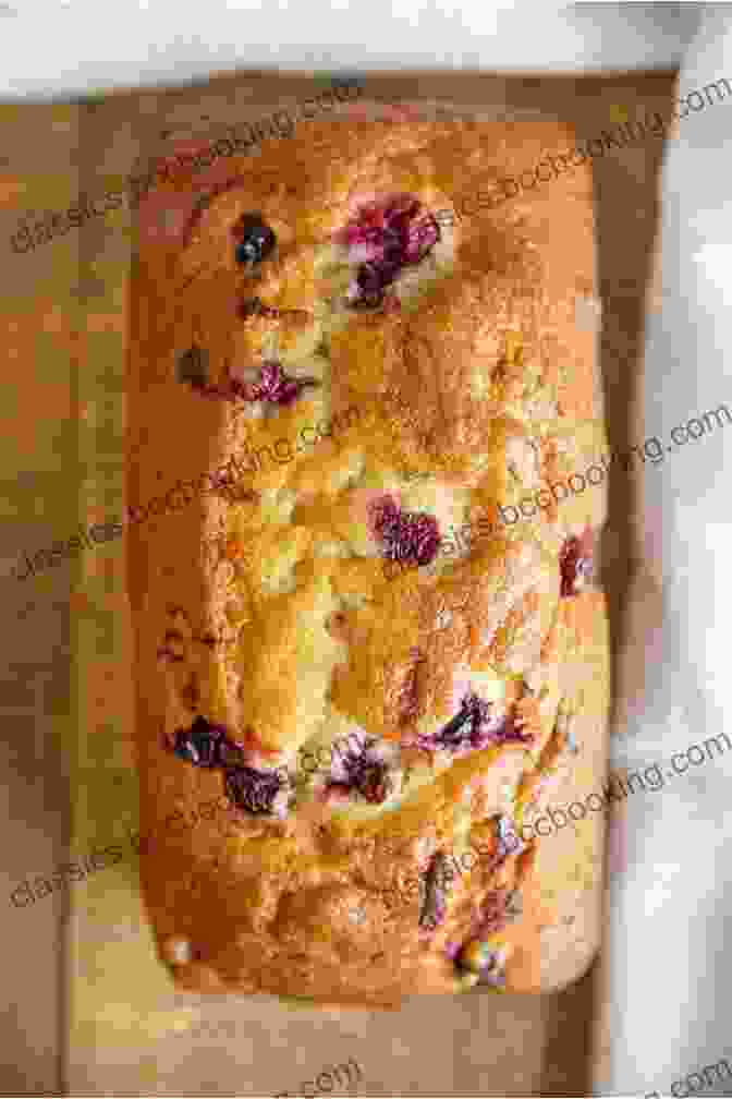 A Loaf Of Cranberry Bread, Topped With A Sprinkle Of Powdered Sugar 60 Recipes Of Bread: Holiday Bread Bagels Egg Bread Cranberry Bread Recipes (A Of Cookbooks 22)