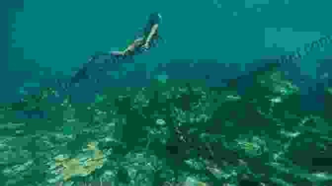 A Mermaid Swimming Through A Coral Reef Sleepover At The Haunted Museum (Mermaid Tales 21)