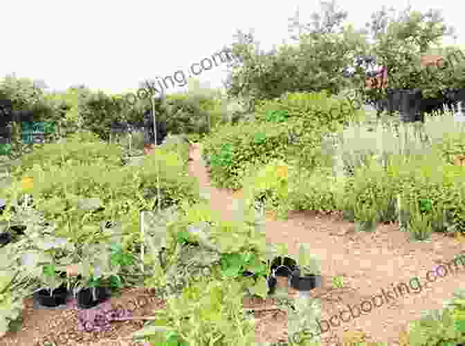 A Permaculture Garden With Diverse Plant Species The Art Of Natural Cheesemaking: Using Traditional Non Industrial Methods And Raw Ingredients To Make The World S Best Cheeses