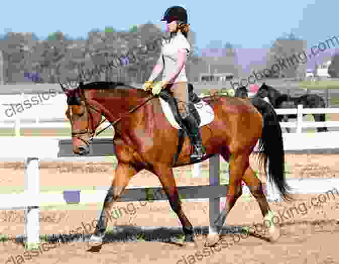 A Photo Of Mellon On Horseback, Looking Determined Mellon David Cannadine