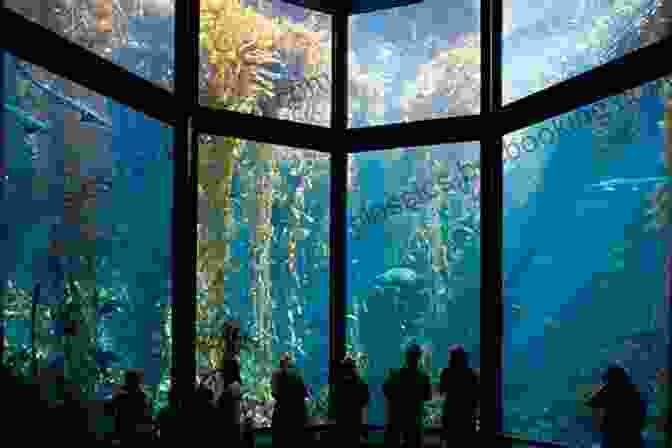 A View Of The Monterey Bay Aquarium With Marine Life Exhibits Pacific Coasting: A Guide To The Ultimate Road Trip From Southern California To The Pacific Northwest