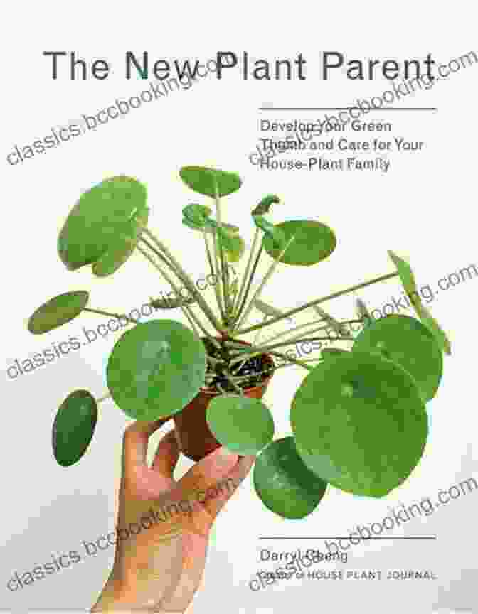 Book Cover Image Of Develop Your Green Thumb And Care For Your House Plant Family The New Plant Parent: Develop Your Green Thumb And Care For Your House Plant Family