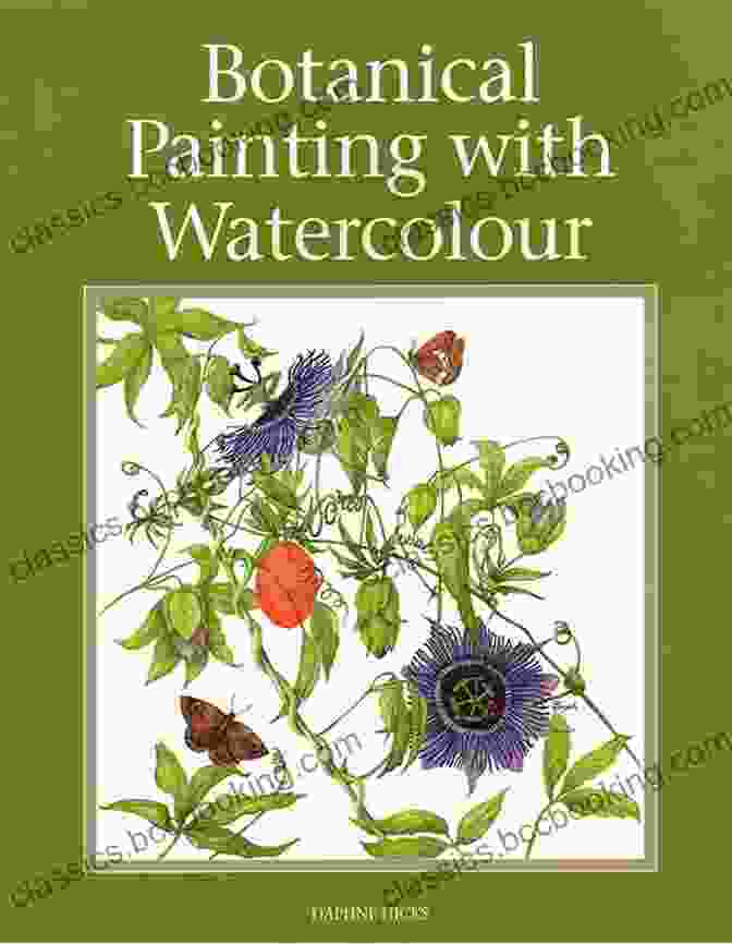 Botanical Painting With Watercolour By Daphne Hicks Botanical Painting With Watercolour Daphne Hicks