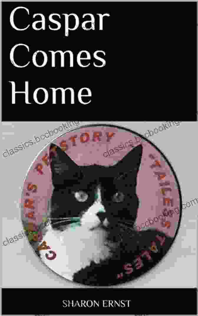 Caspar Comes Home Book Cover Featuring A Photo Of Caspar, A Tailless Cat, Looking Up With Curious Eyes Caspar Comes Home (Caspar S Pet Story Tailless Tales 1)