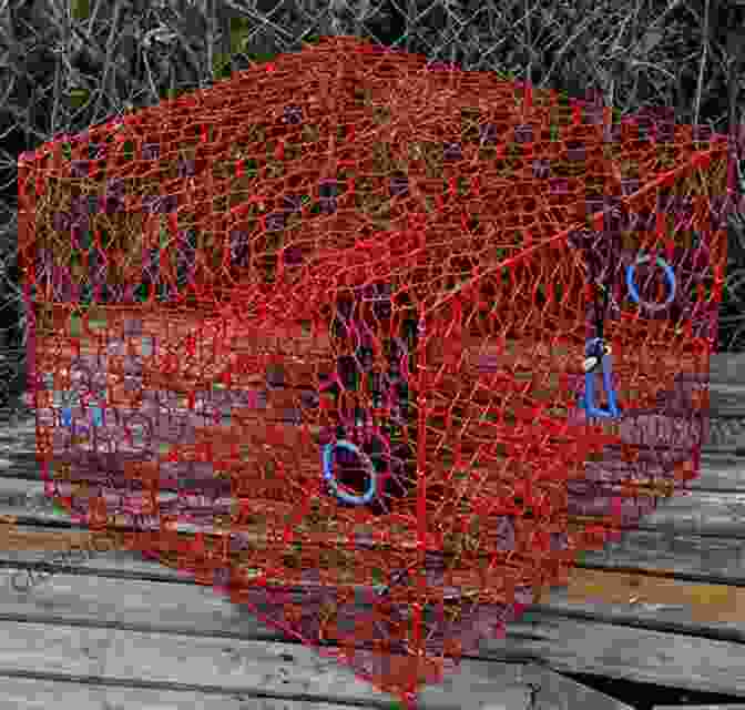 Colorful Crab Traps Used By Traditional Fishermen In The Maritimes A Taste For The Wild Canada S Maritimes