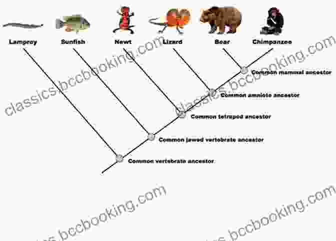 Diagram Of An Evolutionary Tree With Branches Extending To Different Animal Species. The Nature Of The Beast: How Emotions Guide Us