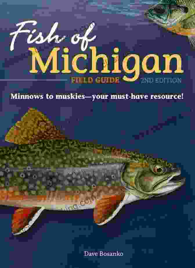 Fish Of Michigan Field Guide Book Cover Fish Of Michigan Field Guide (Fish Identification Guides)