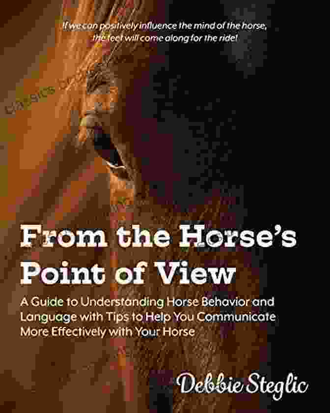 Horse Tail Positions From The Horse S Point Of View: A Guide To Understanding Horse Behavior And Language With Tips To Help You Communicate More Effectively With Your Horse
