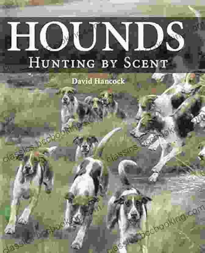Hounds Hunting By Scent By David Hancock Hounds: Hunting By Scent David Hancock