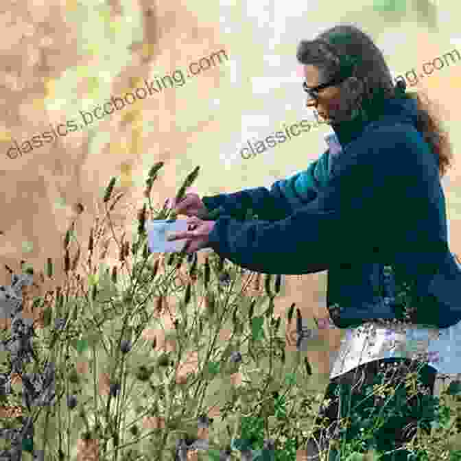 Image Of A Person Collecting Seeds From A Plant Free Plants For Everyone: The Good Guide To Plant Propagation