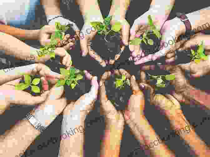Image Of People Sharing Plants On An Online Forum Free Plants For Everyone: The Good Guide To Plant Propagation