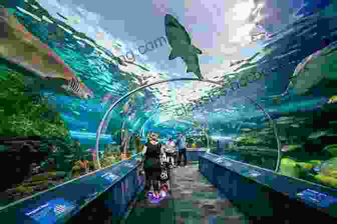 Ripley's Aquarium Of Canada, A World Class Aquarium, Immerses Visitors In A Vibrant Underwater World. Toronto: 10 Must Visit Locations Dean Koontz
