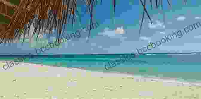 Secluded Beach On Little Cayman The Island Hopping Digital Guide To The Northwest Caribbean Part II The Cayman Islands