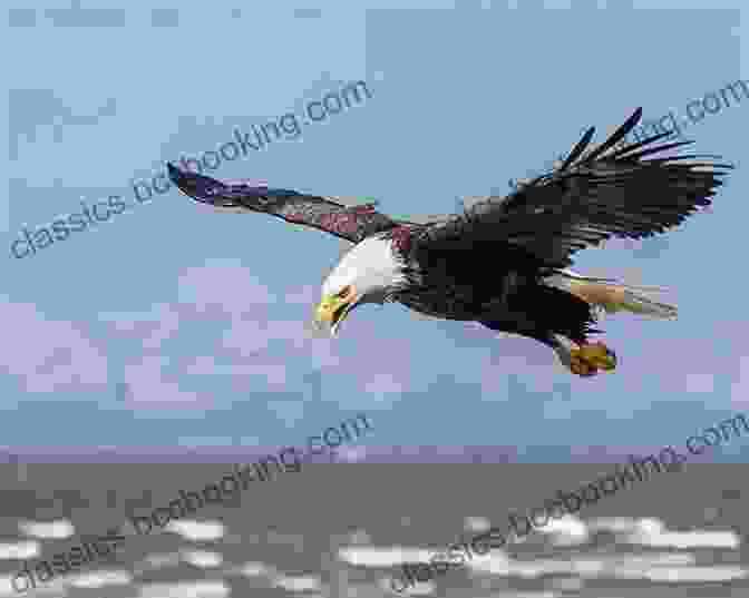 Soaring Bald Eagle Over Jack's River Fly Fishing Jacks River: An Excerpt From Fly Fishing Georgia (No Nonsense Fly Fishing Guidebooks)