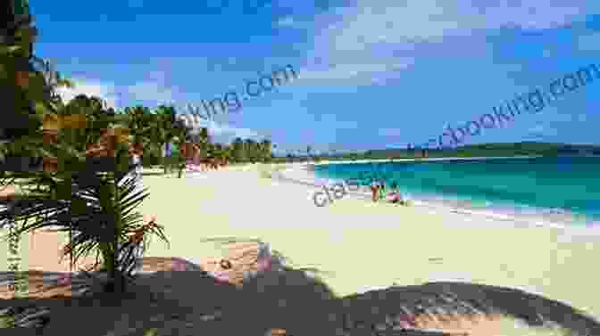 Sun Bay, Vieques, A Popular Beach Known For Its Golden Sands And Crashing Waves The Island Hopping Digital Guide To The Virgin Islands Part III The Spanish Virgin Islands: Including Culebra Culebrita And Vieques