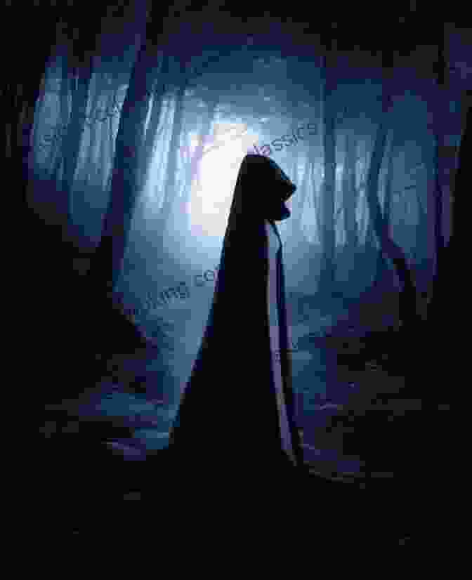 The Wolf's Redemption Book Cover Featuring A Shadowy Figure Standing In A Forest At Night. Noah Wolf Series: 1 4 (Noah Wolf Boxed Set 1)