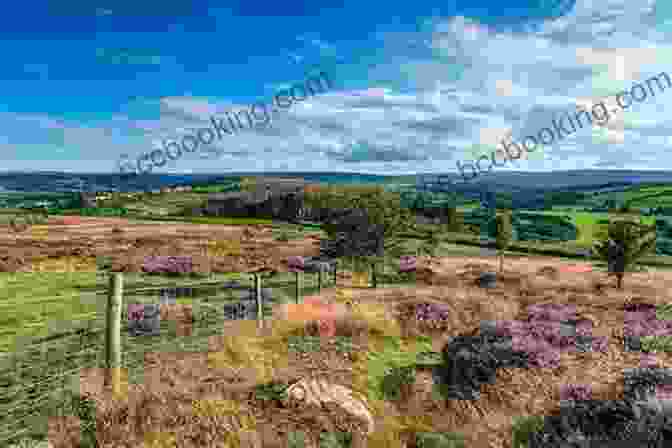 The Yorkshire Moors, A Landscape Of Mystery And Beauty Blood Trail: A Yorkshire Murder Mystery (DCI Harry Grimm Crime Thrillers 10)