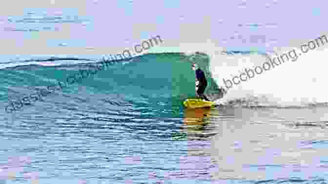 Water Music: Adventures of a Journeyman Surfer