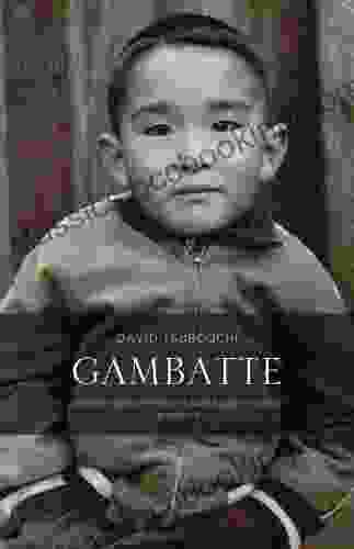 Gambatte: Generations Of Perseverance And Politics A Memoir