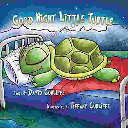 Good Night Little Turtle David Cunliffe