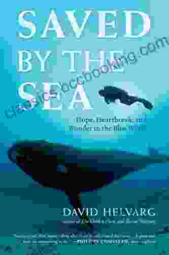 Saved By The Sea: Hope Heartbreak And Wonder In The Blue World
