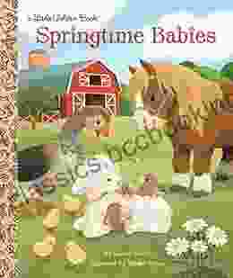 Springtime Babies (Little Golden Book)