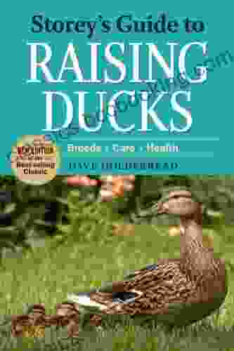 Storey S Guide To Raising Ducks 2nd Edition: Breeds Care Health (Storey S Guide To Raising)